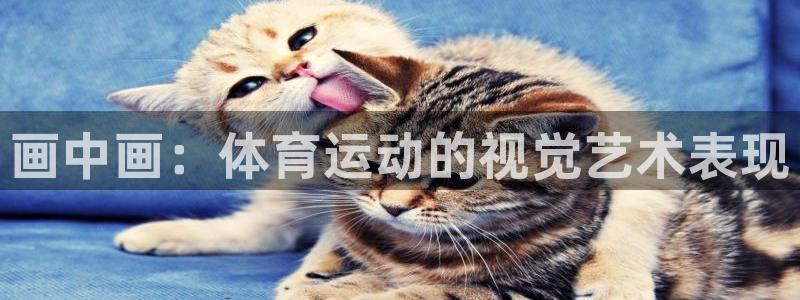 JJB竞技宝官网下载招商电话地址：画中画：体育运动的