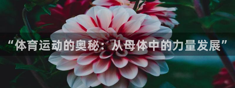 JJB竞技宝官网下载招商电话地址是多少：“体育运动的