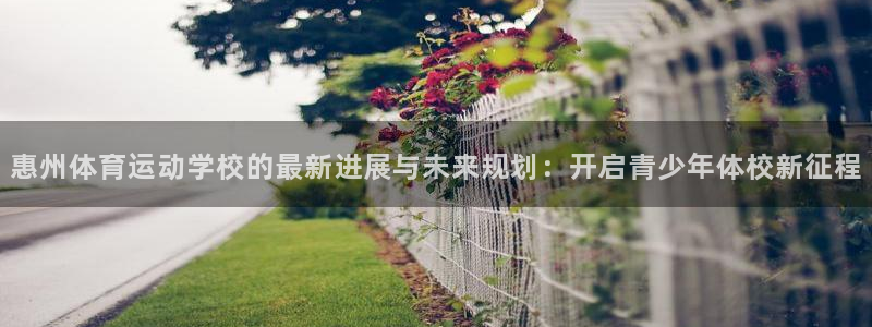 JJB竞技宝官网下载招商电话是多少号码