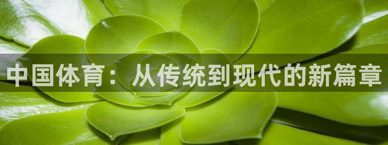海南JJB竞技宝官网下载发展怎么样：中国体育：从传统到现代的