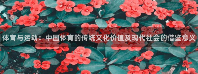 JJB竞技宝官网下载招商电话是多少啊