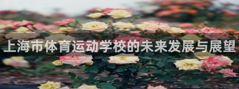 JJB竞技宝官网下载注册：上海市体育运动学校的未来发展与展望