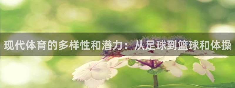 JJB竞技宝官方正版app娱乐代理怎么样：现代体育的多样性和