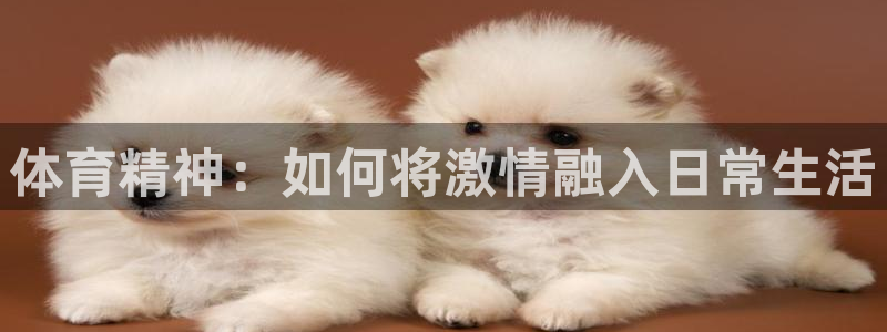 JJB竞技宝官方正版app娱乐40996：体育精神：如何将激