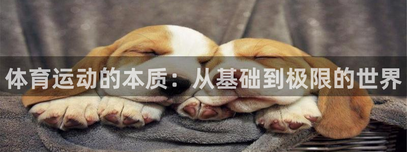 JJB竞技宝官网下载招商电话号码查询