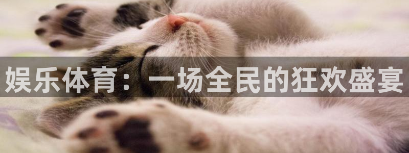 JJB竞技宝官网下载平台注册：娱乐体育：一场全民的狂