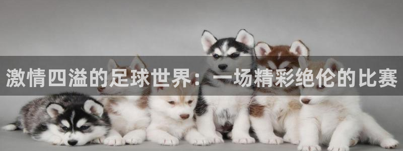 JJB竞技宝官方正版app娱乐40996：激情四溢的足球世界