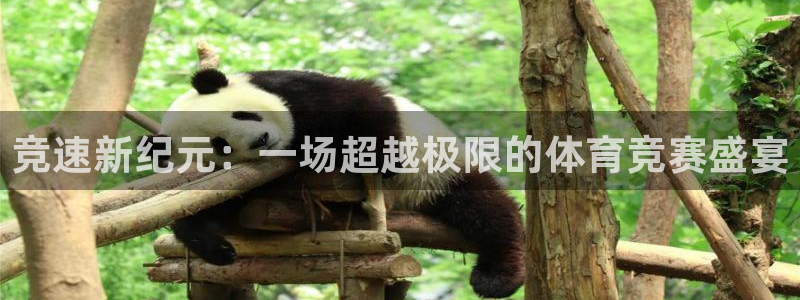 注册JJB竞技宝官方正版app：竞速新纪元：一场超越极限的体