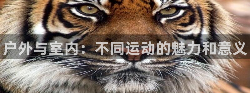 JJB竞技宝官网下载平台假的吗是真的吗：户外与室内：不同运动