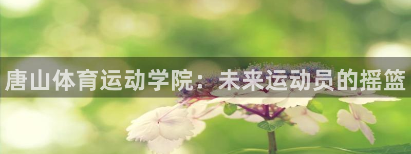 JJB竞技宝官方正版app娱乐是那个系列的台子：唐山体育运动