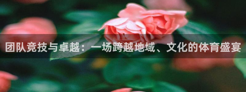 JJB竞技宝官方正版app娱乐是那个系列的台子：团队竞技与卓