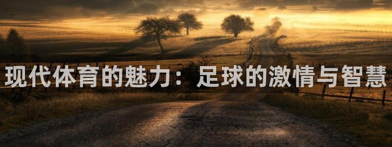 海南JJB竞技宝官网下载发展怎么样：现代体育的魅力：足球的激