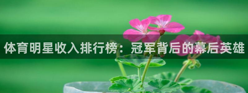 竞技宝可靠吗：体育明星收入排行榜：冠
