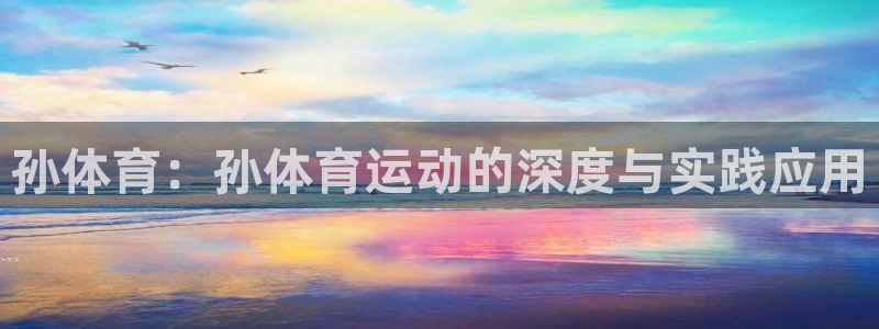 竞技宝下载：孙体育：孙体育运动的深度与实践应用