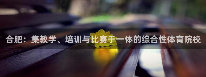首页竞技宝：合肥：集教学、培训与比赛于一体的综合性体育院校