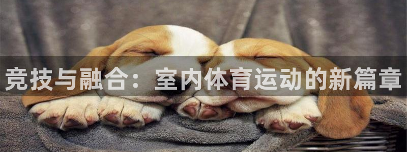  竞技宝官网登录入口：竞技与融合：室内体育运动的新篇章