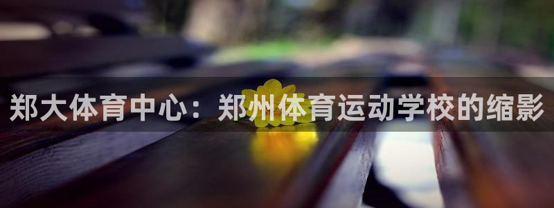 竞技宝手机端下载官网入口：郑大体育中