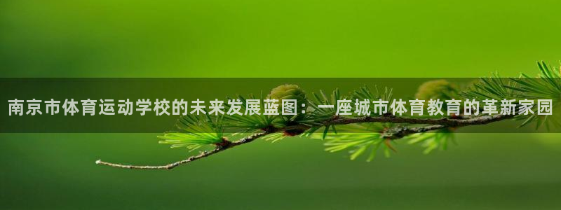 竞技宝会黑钱吗：南京市体育运动学校的未来发展蓝图：一座城市体