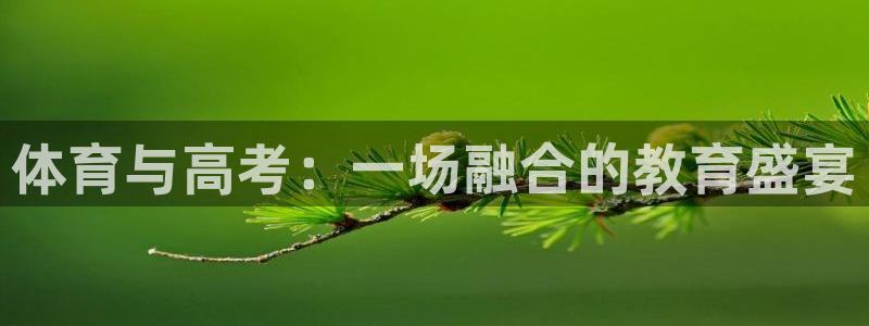 竞技宝网站入口在线观看：体育与高考：