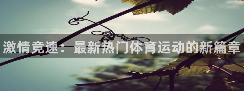 竞技宝安卓版：激情竞速：最新热门体育