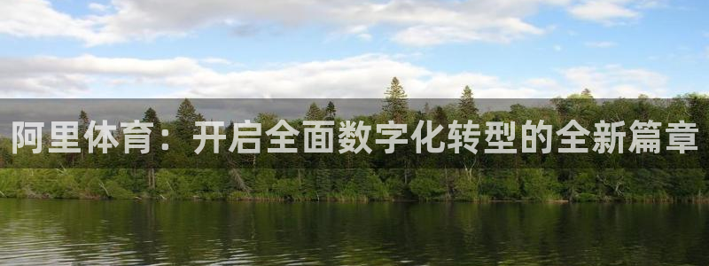 竞技宝黑款：阿里体育：开启全面数字化